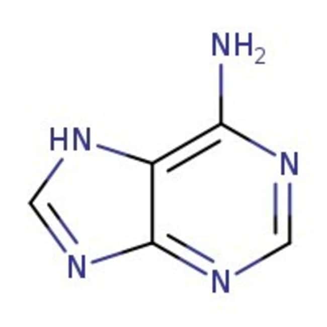 thermo scientific chemicals adenine, 99%