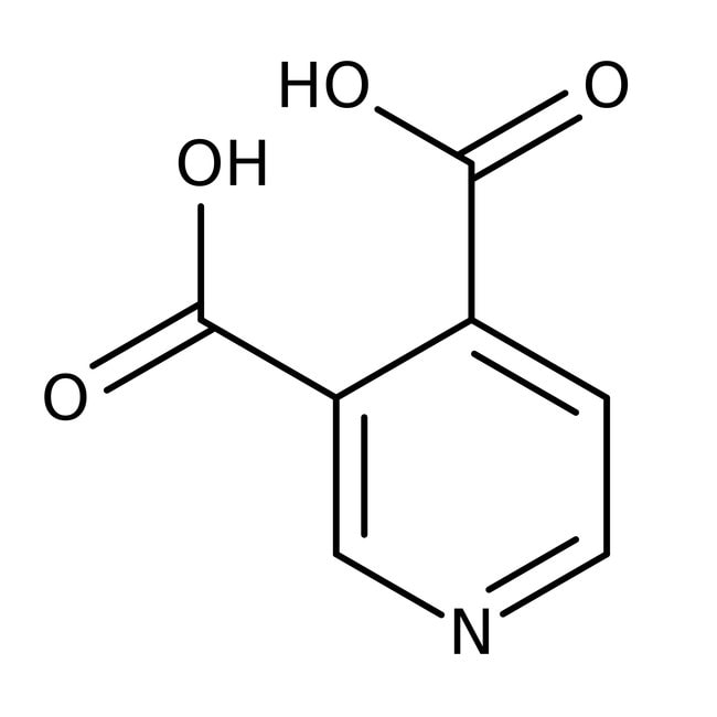 3,4-pyridinedicarboxylic acid, 97%, thermo scientific chemicals