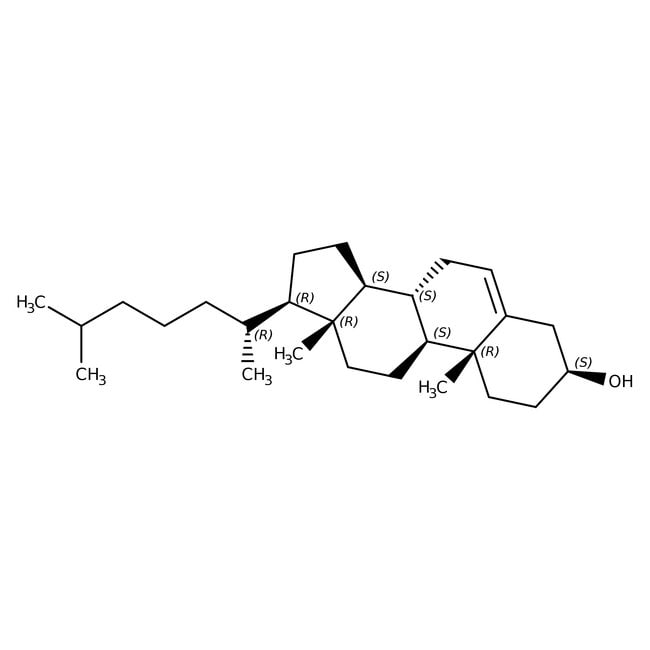 cholesterol, 95%, thermo scientific chemicals