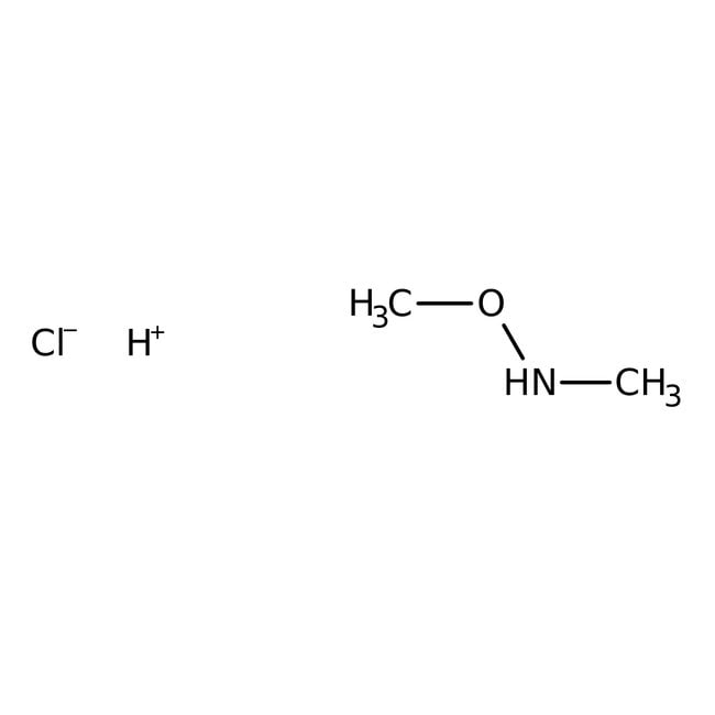 n,o-dimethylhydroxylamine hydrochloride, 98%, thermo scientific chemicals