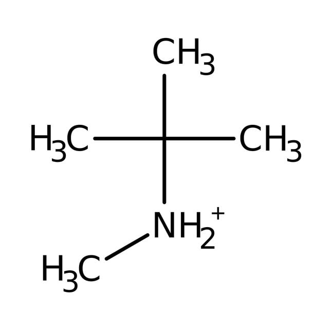 n-tert-butylmethylamine, 97%, thermo scientific chemicals