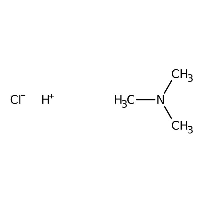 trimethylamine hydrochloride, 98%, thermo scientific chemicals