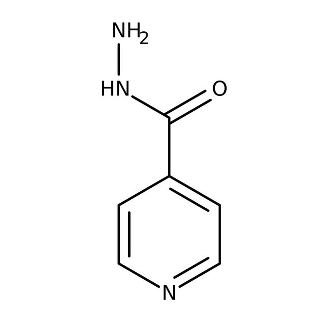 isonicotinic acid hydrazide, 98+%, thermo scientific chemicals