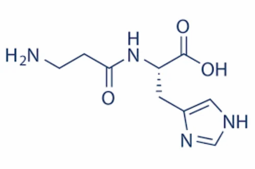 l-carnosine cas 305-84-0