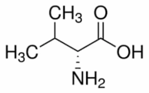d- valine