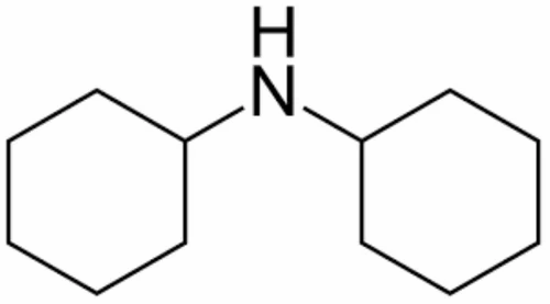 dicyclohexylamine