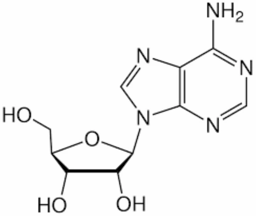 adenosine