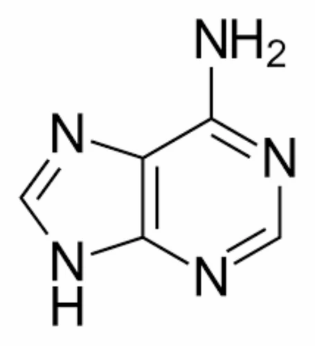 adenine