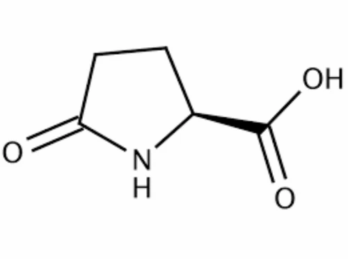 l- pyroglutamic acid