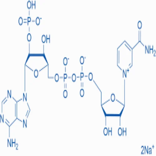 nadp disodium salt cas 24292-60-2