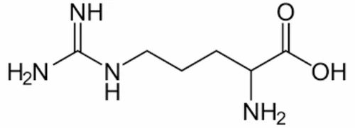 l-arginine