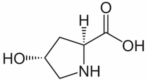l-hydroxy proline