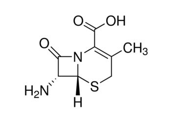 7-aminodesacetoxycephalosporanic acid, 98%