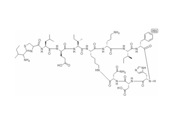 bacitracin