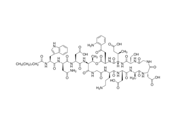 daptomycin, 90%