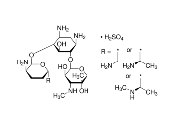 gentamicin sulphate