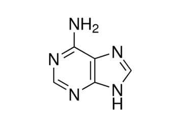 adenine, 99%