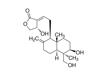 andrographolide 99%