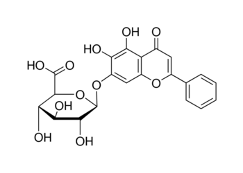 baicalin, 95%+