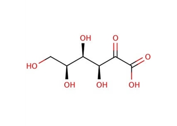 2-keto-l-gulonic acid, 95%