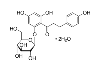 phloridzin, dihydrate, 99%