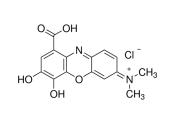 gallocyanine