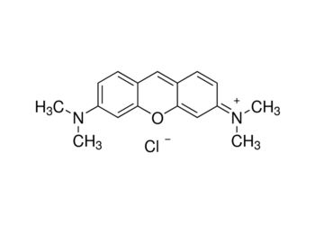 pyronin g(y)
