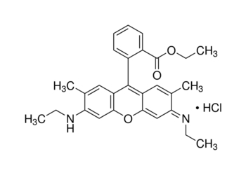 rhodamine 6g, dye content, 99%