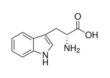 d-tryptophan, 99%