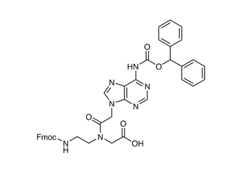 fmoc-pna-a(bhoc)-oh, 98%