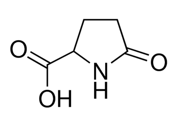 dl-pyroglutamic acid, 99%