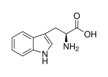 l-tryptophane, 99%+