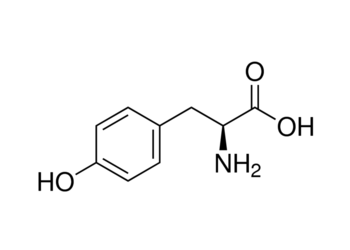 l-tyrosine, 99%+