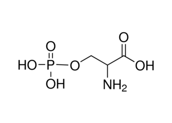 o-phospho-dl-serine, 97%