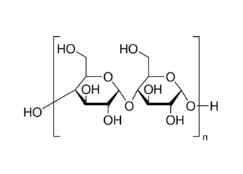 rice starch