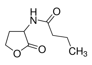 n-butyryl-dl-homoserine lactone, ≥96% (hplc)