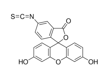 fluorescein isothiocyanate,10%