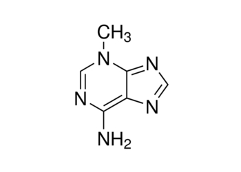 3-methyladenine, 98%