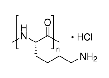 poly-l-lysine hydrochloride, mol wt >30,000