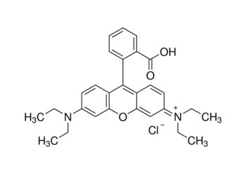 rhodamine b, for fluorescence
