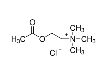 acetylcholine chloride, practical grade