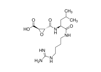 e-64, protease inhibitor