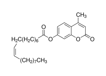 4-methylumbelliferyl oleate, suitable for fluorescence, ≥95%