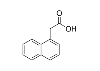1-naphthylacetic acid, gr 99%+