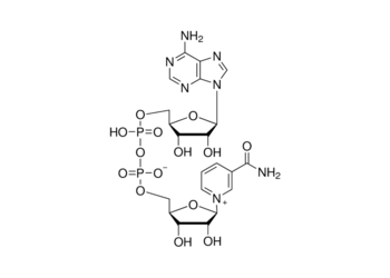 β-nad (nad, dpn)