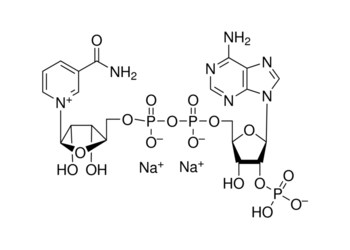 nicotinamide adenine dinucleotide phosphate disodium salt, 98%