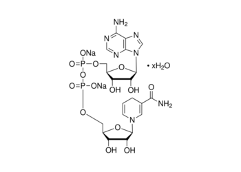 nadh, disodium salt, 98%+