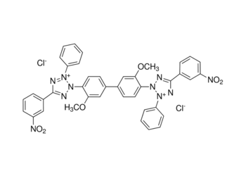3-nitrotetrazolium blue chloride