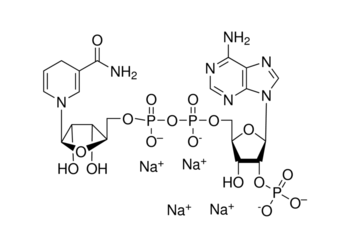 β-nicotinamide adenine dinucleotide 2′-phosphate reduced tetrasodium salt hydrate ≥95% (hplc)
