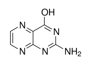 pterine, ≥98%